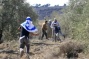 WAFA: “Settlers’ violence against Palestinians continues with an attack on olive harvesters in Hebron”