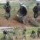 Updated: Israeli Colonizers Attack Palestinians, Cut Dozens Of Olive Trees, Near Hebron
