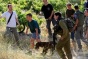 Israeli Colonizers Cut Grapevines Near Bethlehem