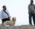Israeli Colonizers Attack Palestinian Shepherds Near Hebron