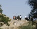 Israeli Colonizers Invade Al-Awja, North of Jericho