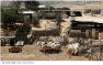 Israeli Court Orders Eviction of Bedouin Village for New Predominantly Jewish Neighborhood