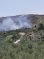 Settlers Attack Palestinians in Bethlehem, Jericho, Burn Hundreds of Trees Near Nablus