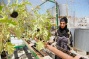 Rooftop gardens project aims to reduce refugees’ dependence on aid