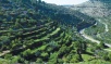 Israeli Nature & Parks authority opposes route of wall in Battir
