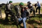Israeli forces drives out some 100 Palestinians from encampment in West Bank