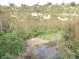 Israeli settlers pump sewage into ancient Palestinian village