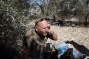 Video: Settlers attack olive harvest near Nablus