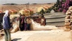 Video: Hebron Bedouins demand freedom of movement, infrastructure