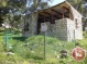 Easter in the destroyed Palestinian village of Maalul
