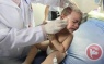 Israel bombs Gaza ambulance as Friday death toll surpasses 60