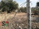 Settlers Destroy Palestinian Property Under the Protection of Israeli Soldiers