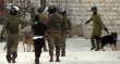 Watch: Israeli soldiers urge dog to attack Palestinian child