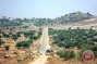 Israeli troops detain 4 children near Tulkarem