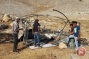Israeli settlers torch Bedouin tent near Ramallah
