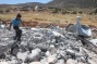 In five-year high, Israel demolishes 143 Palestinian structures in single month