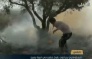 Israeli Extremists Burn Olive Orchards Near Nablus