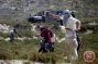 Settlers attack Palestinian farmers picking olives near Nablus