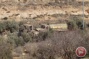 Israel confiscates land, builds military watchtower in Hebron village