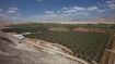 Israeli Army May Return Some Jordan Valley Land to Palestinian Owners