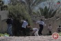 Dozens wounded as Israeli forces repress weekly Palestinian marches
