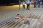 3 Palestinians shot dead after multiple attacks kill tourist, wound 12