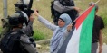 Tamimi to be Released under Conditions and $1,000 Fine