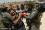 Number of Palestinian prisoners hits five-year high