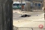 Palestinian woman, teen shot dead after alleged stab attempt at Qalandiya