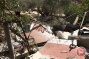 Israeli forces demolish 2 Palestinian-owned agricultural structures in Qalqilya