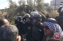 Palestinian, Israeli activists detained as Israeli forces uproot hundreds of olive trees