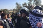 Palestinian, Israeli activists detained as Israeli forces uproot hundreds of olive trees