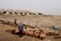 Israel issuing Palestinian building permits to further West Bank land grab