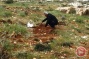 Israeli forces level lands in Bethlehem-area village