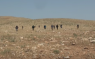 WATCH: Masked settlers attack left-wing activists in Jordan Valley
