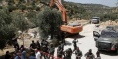 Israeli Soldiers Uproot Dozens of Olive Trees East of Tubas