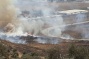 Israeli settlers torch olive trees after illegal outpost evacuated south of Nablus