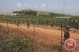 Israeli forces detain 2 Palestinians for crossing Gaza border fence into Israel