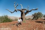 Settler violence on the rise as olive harvest begins in West Bank