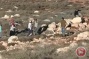Video: Israeli settlers attack Palestinians harvesting olives near Nablus