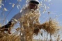 Israeli army orders Jordan Valley farmers to evacuate land in order to raze it