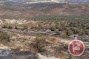 Israeli settlers burn 300 Palestinian olive trees in Nablus district