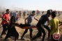Israeli forces shoot, kill 3 Palestinians in Gaza
