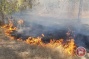 Hundreds of dunams set on fire near Gaza