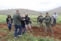 Settlers Uproot Dozens of Olive Trees in West Bank Village