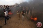 Three Palestinians, including child, killed at Gaza borders