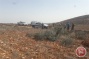 Israeli settlers chop down 100 olive trees near Ramallah