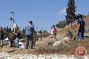 Israeli soldiers, settlers uproot trees in East Jerusalem neighborhood