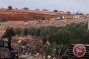 Israeli forces uproot 200 cactus seedlings in Jordan Valley