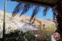 Israeli bulldozers demolish greenhouses, steel structure in Beit Iksa